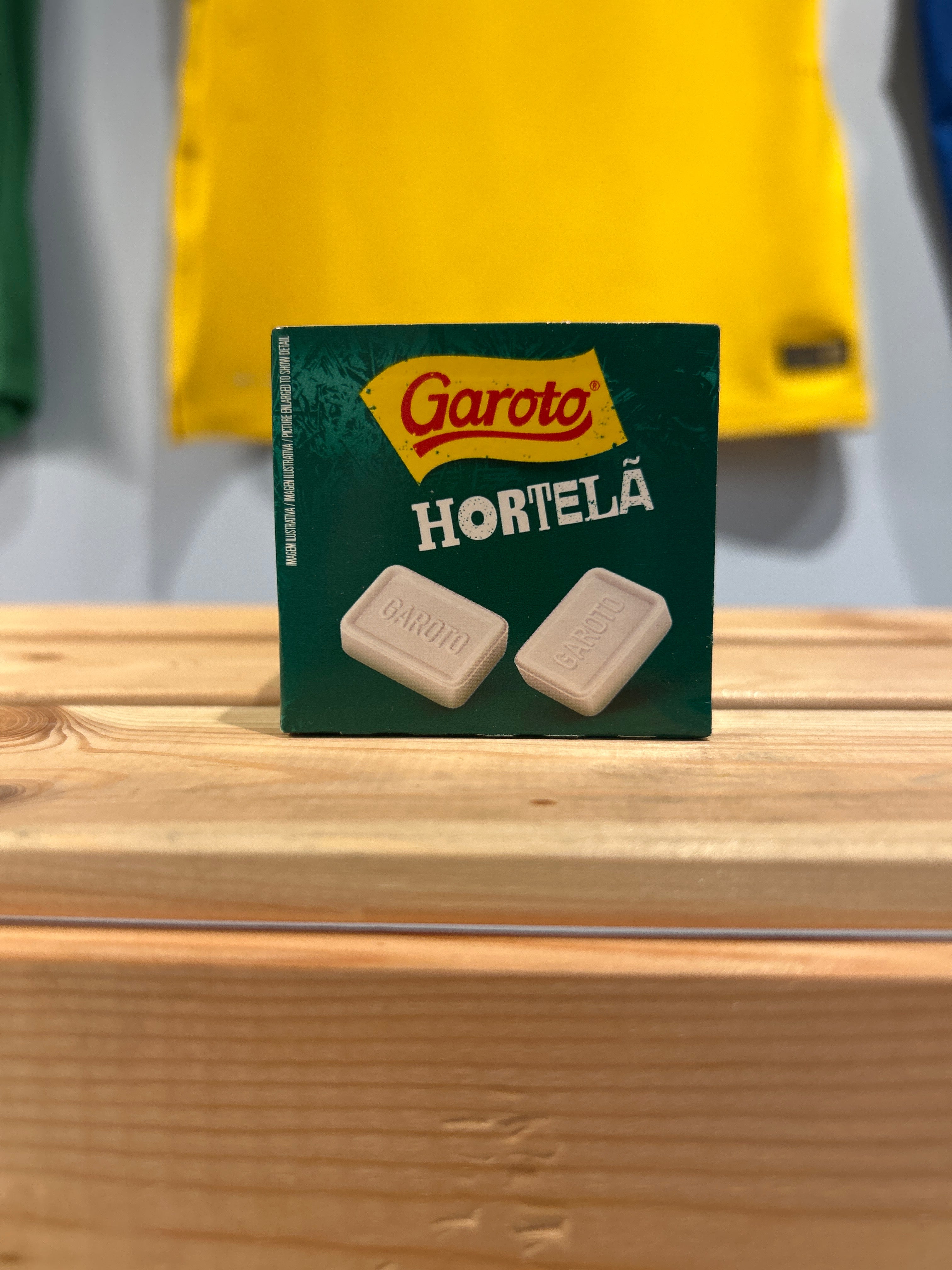 Mint chewing gum - (Mint Candy Pastille) - GAROTO - 17g